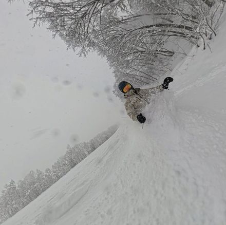 n IMage - Resource cover image