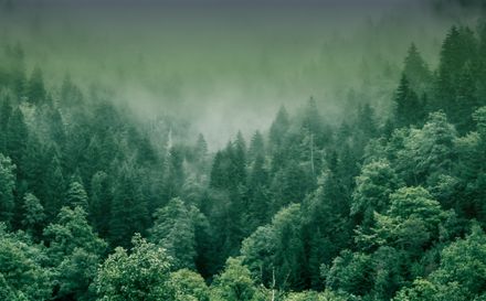 test anton - Translation missing: en.resource_type.collection cover image